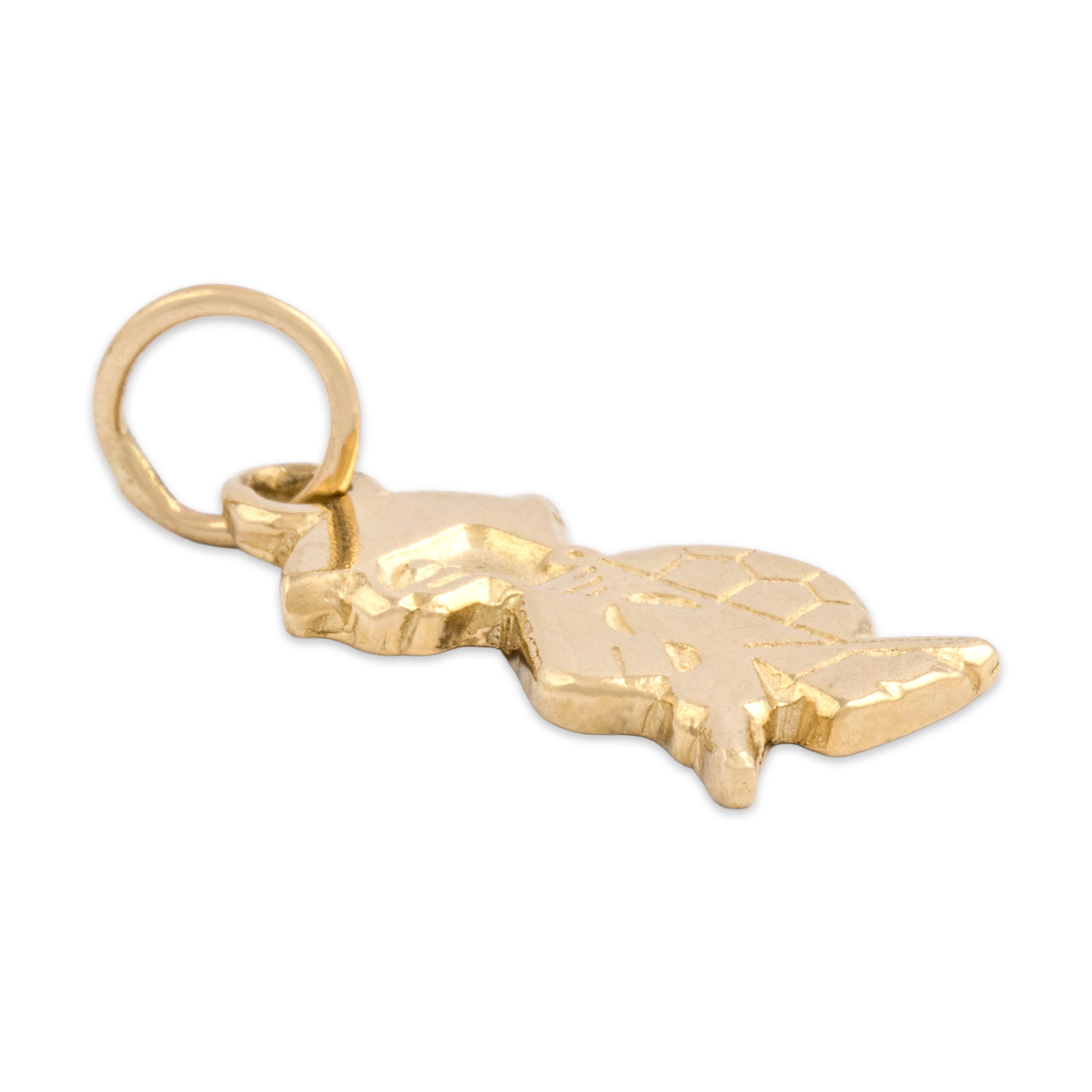 Vintage 14k Yellow Gold Swashbuckling Pirate Turtle Charm / Pendant - Side view