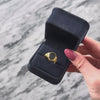 Antique Victorian English 18k Yellow Gold 2.56ct Bloodstone Signet Ring - Video showing the piece