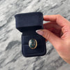 Vintage 14k Yellow Gold 15.9ct Bloodstone Oversized Gleaming Scarab Cocktail Ring - Video showing the piece