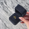 Vintage 10k Yellow Gold 2.2ct Onyx Gilded Lion Ring - Video showing the piece