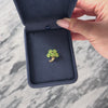 Antique 14k Yellow Gold Pearl Enamel Clover Bouquet Brooch / Pin - Video showing the piece