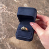 Vintage 14k Yellow Gold Fabulous Spinning Floral Black Enamel Ring - Video showing the piece
