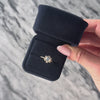 Antique 14k Yellow Gold Moonstone Old Mine Diamond Wonderful Haloed Orb Ring - Video showing the piece
