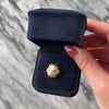 Vintage 10k Yellow & White Gold Shell Diamond Posh Woman Cameo Ring - Video showing the piece