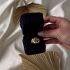 Vintage Heavy 10k Yellow Gold Diamond Lion & Scroll A.M.V. Signet Ring - Video showing the piece