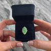 Antique 14k Yellow Gold 4.53ct Jade Carved Navette Wheat Motif Ring - Video showing the piece