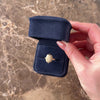 Antique Victorian 14k Rosy Yellow Gold Brown Steatite Egyptian Revival Scarab Ring - Video showing the piece