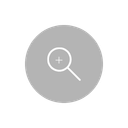 Zoom Icon