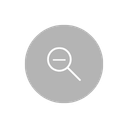 Zoom Icon